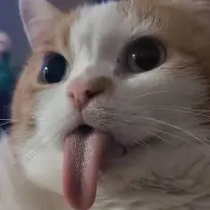 Paul