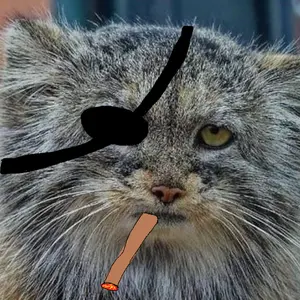 strashakk