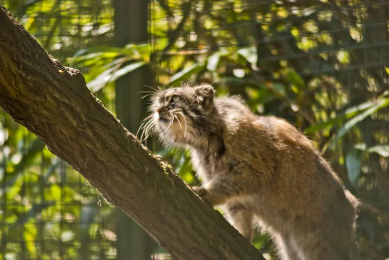 ザールブリュッケン動物園のカール・ハインツの写真