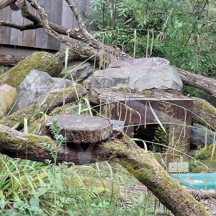 トレゴムール動物園のイウォークの写真