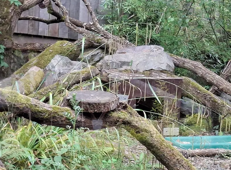 トレゴムール動物園のイウォークの写真