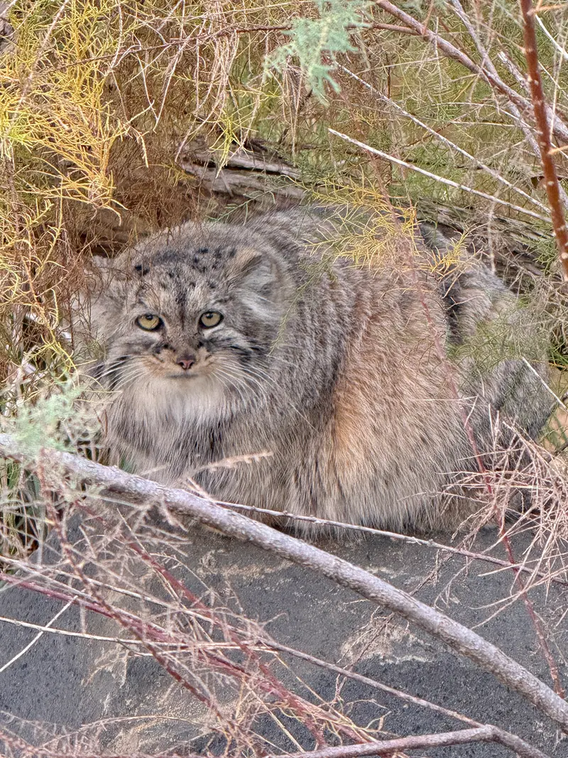 プラハ動物園のプリンセッサの写真
