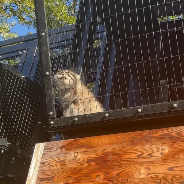 旭山動物園のグルーシャの写真