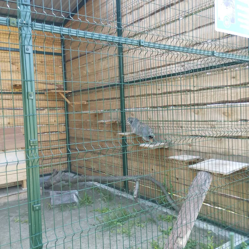 バルナウル動物園「レースナヤ・スカースカ」のチップの写真