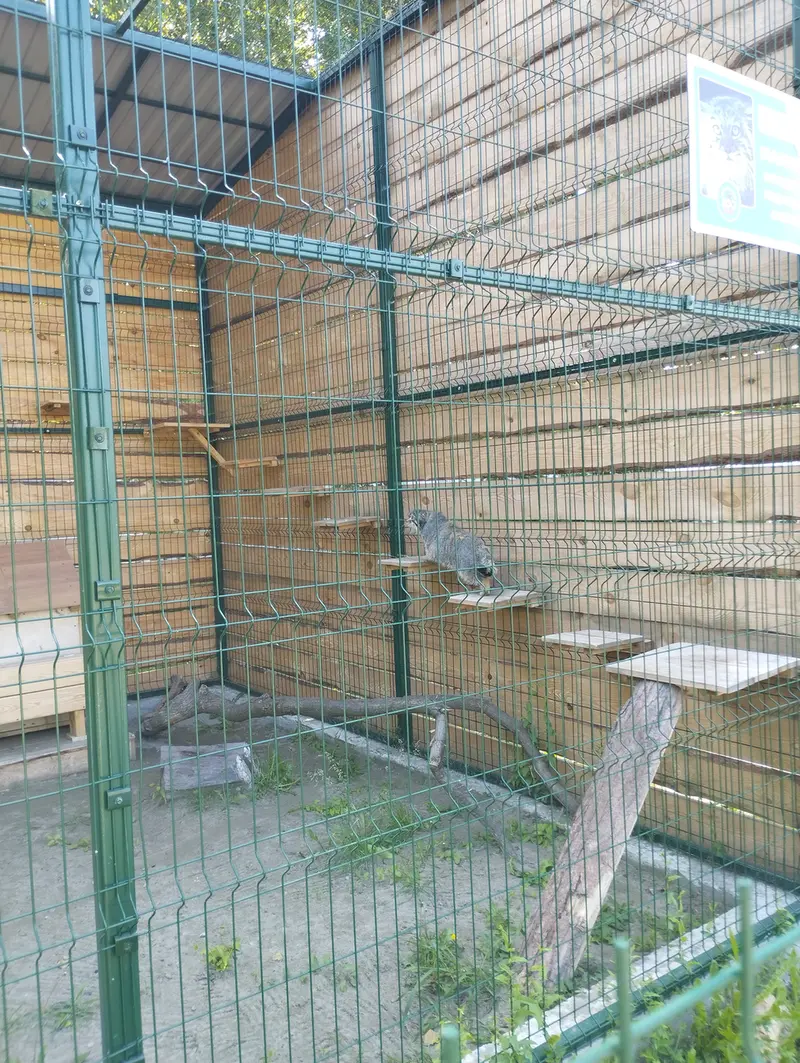 バルナウル動物園「レースナヤ・スカースカ」のチップの写真