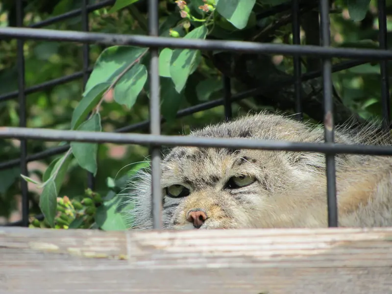 マクデブルク動物園のジョナサンの写真