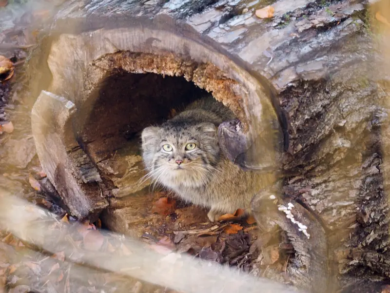 グダニスク動物園のウラの写真