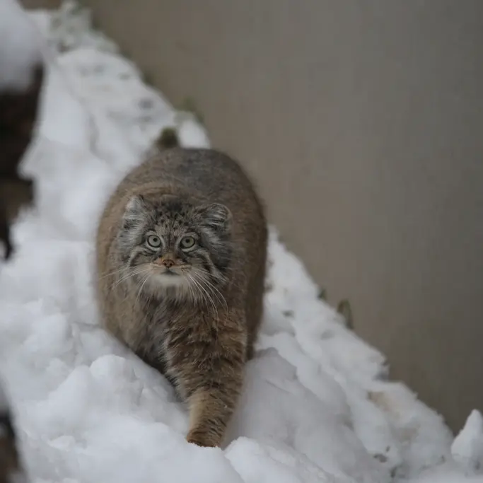 グダニスク動物園のウラの写真