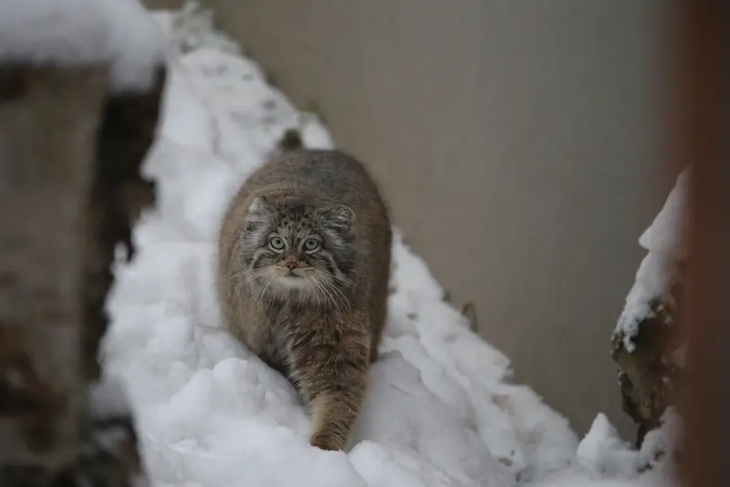 グダニスク動物園のウラの写真