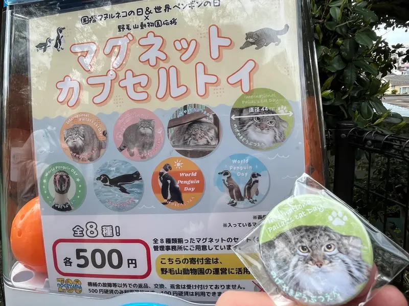 野毛山動物園のフィーガの写真