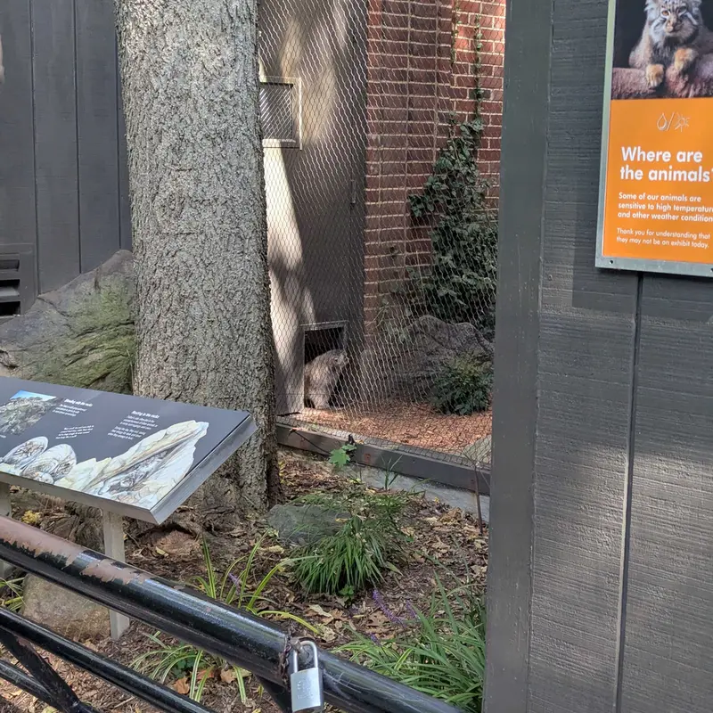 プロスペクト・パーク動物園のサルナイの写真