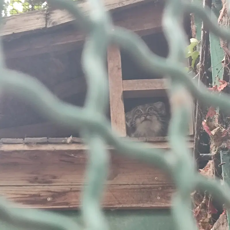 ブダペスト動物園＆植物園のルーシーの写真