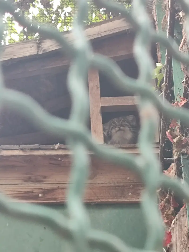 ブダペスト動物園＆植物園のルーシーの写真