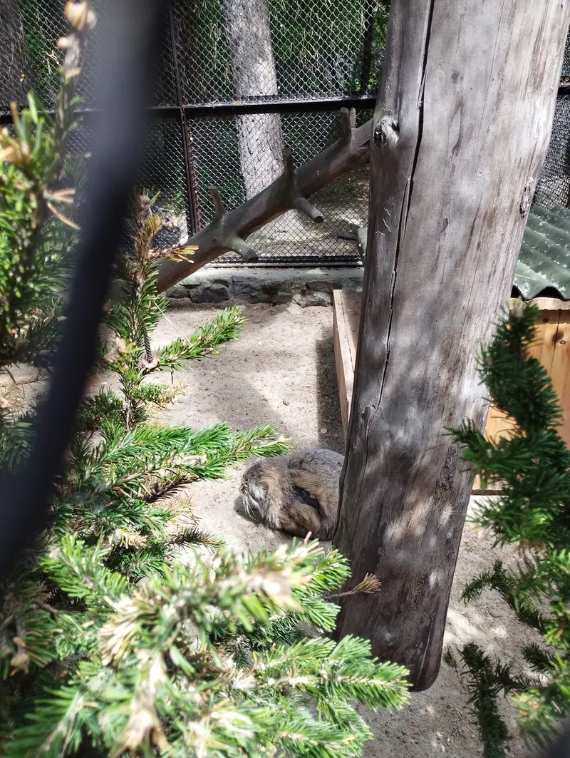 ノヴォシビルスク動物園のゼレノゴルスクの写真