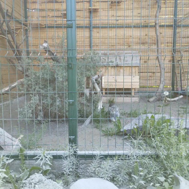 バルナウル動物園「レースナヤ・スカースカ」のペペの写真