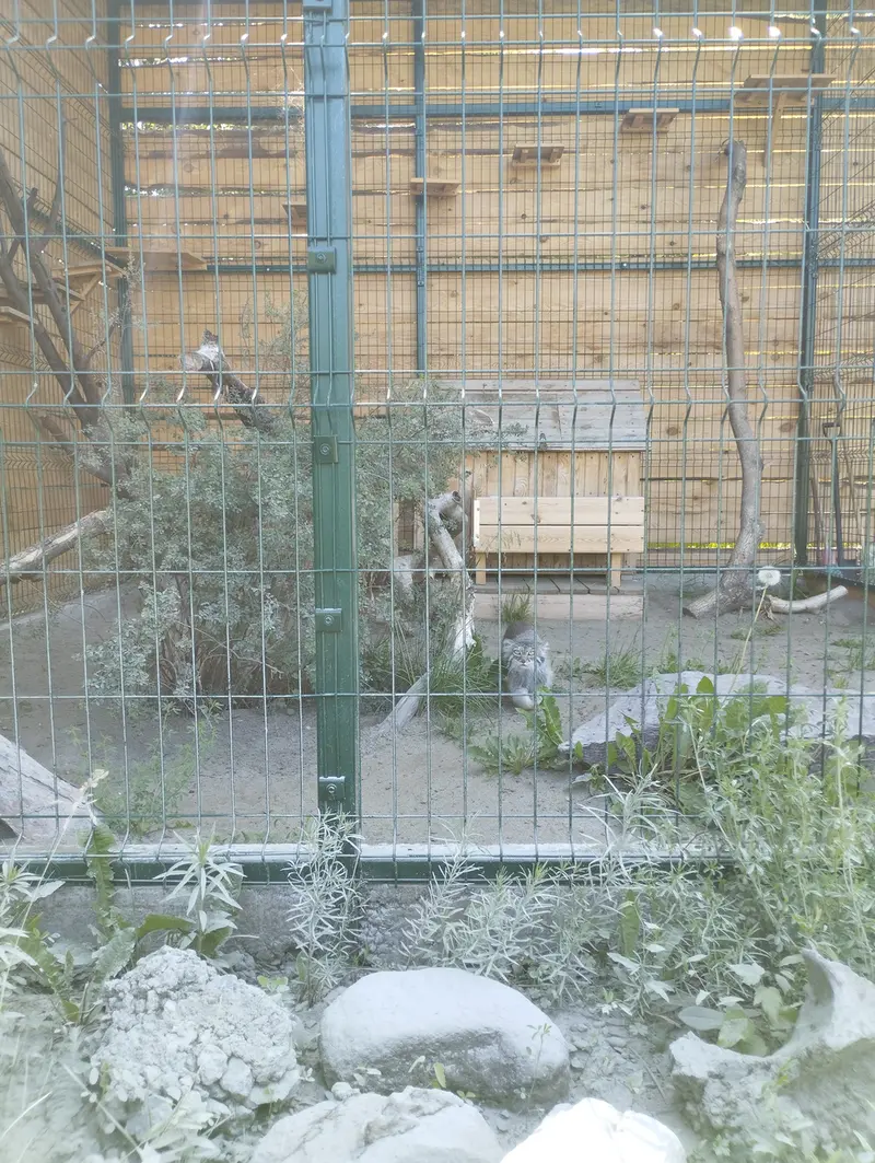 バルナウル動物園「レースナヤ・スカースカ」のペペの写真