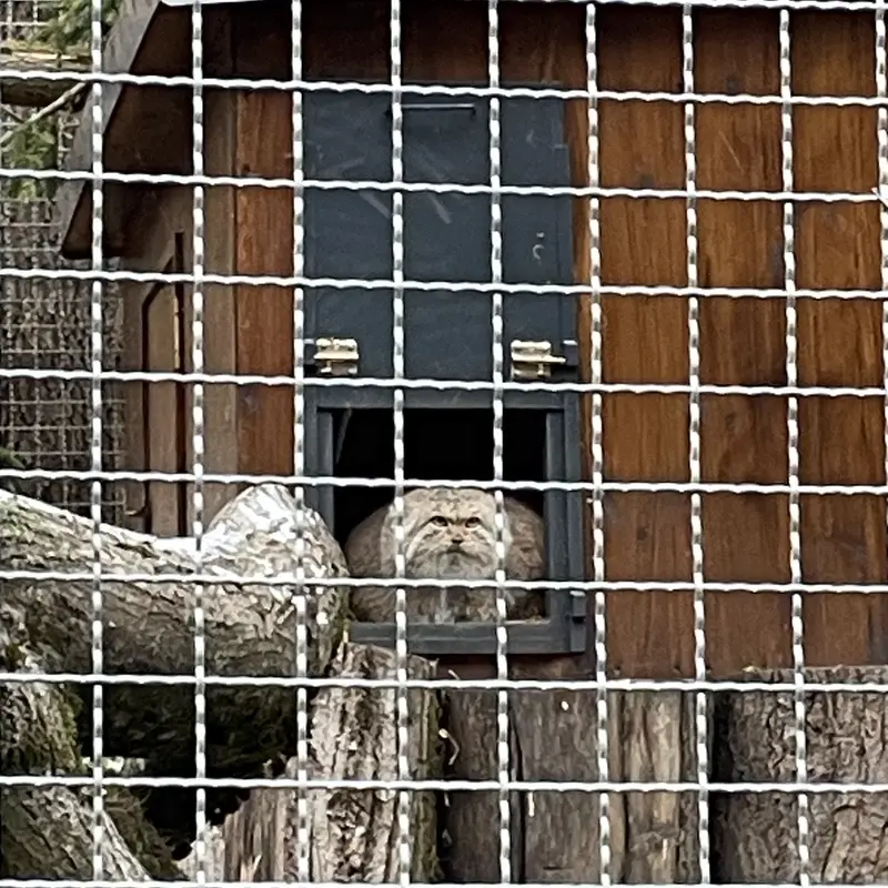リトアニア動物園のメリッサの写真