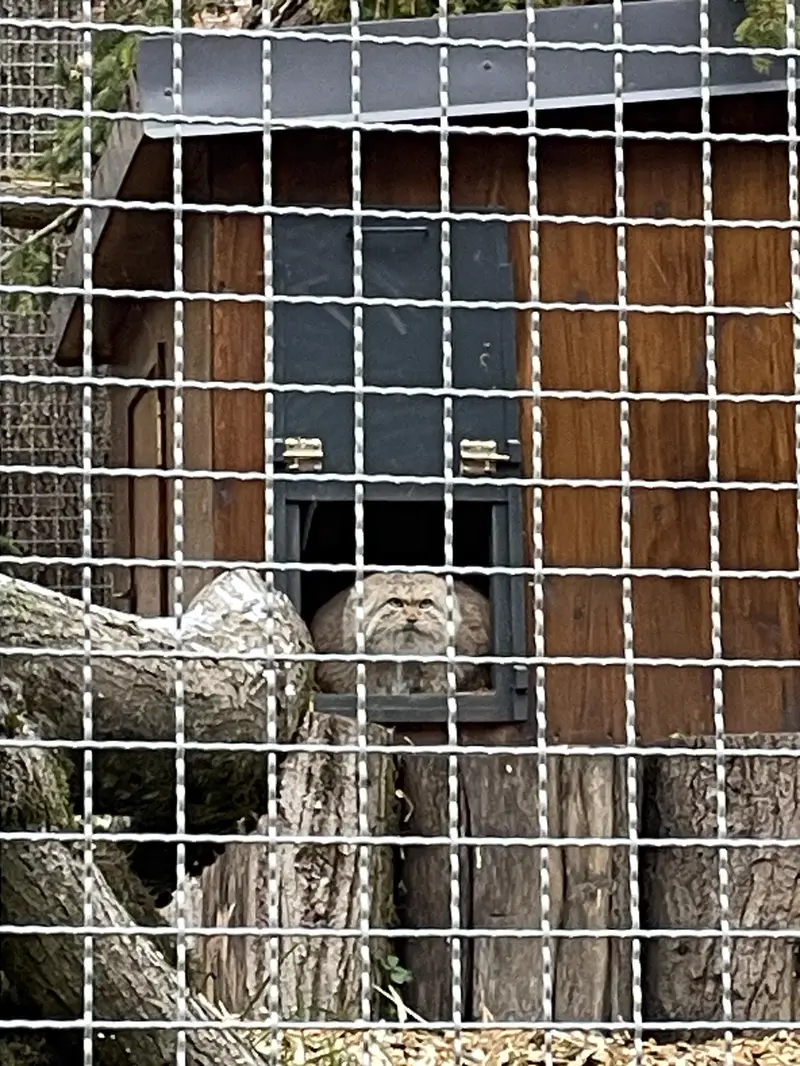 リトアニア動物園のメリッサの写真