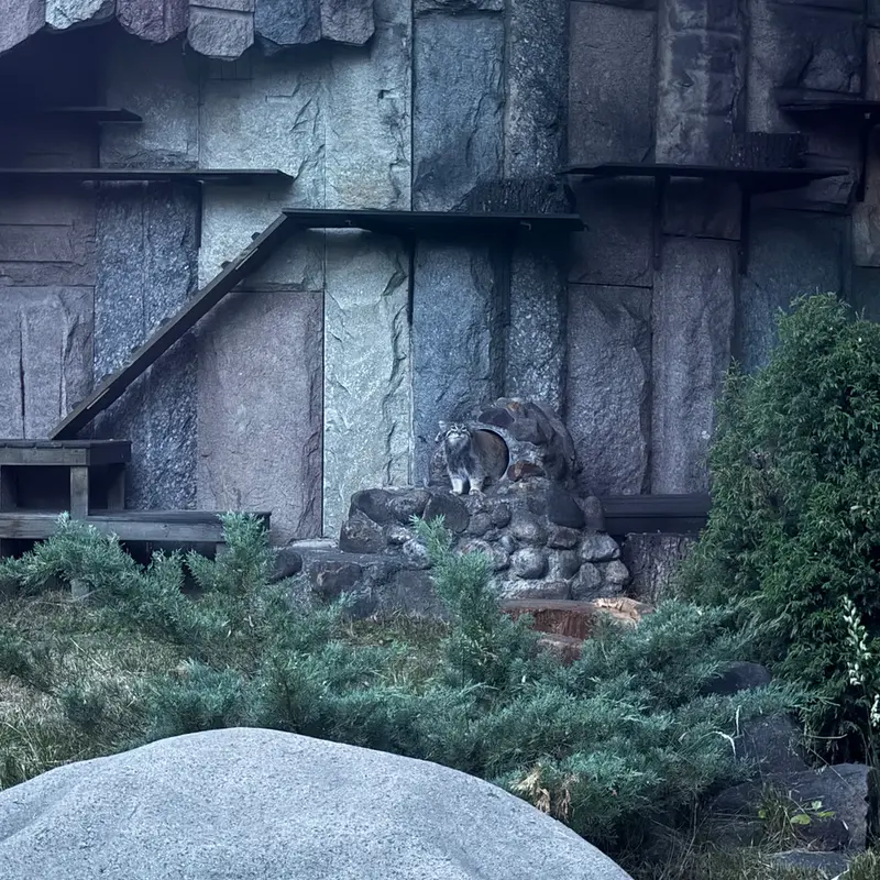 モスクワ動物園のティモフェイの写真