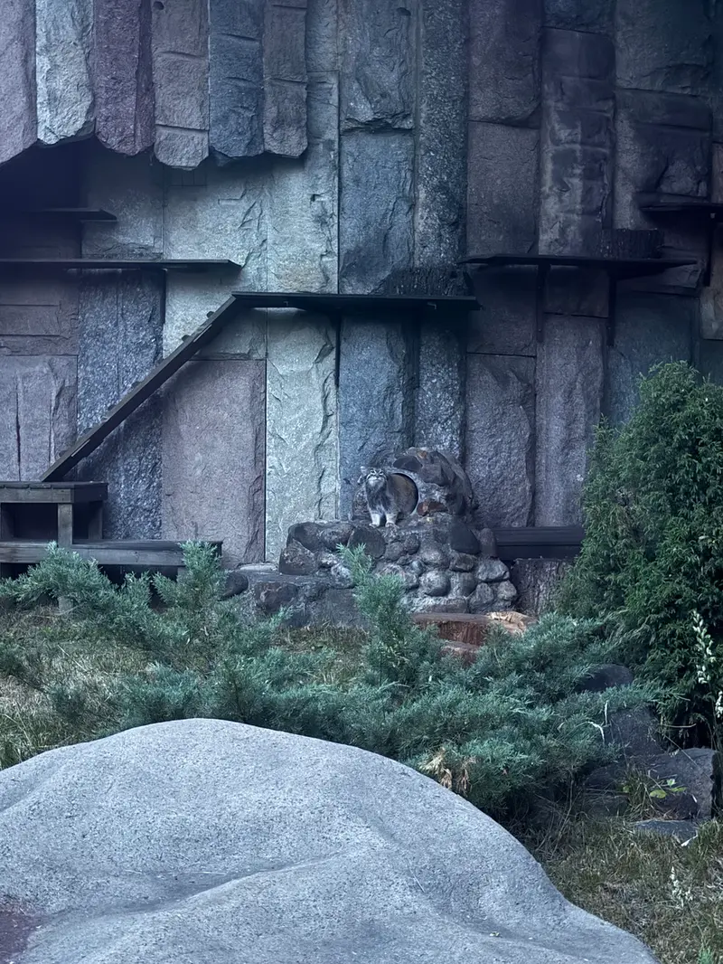 モスクワ動物園のティモフェイの写真