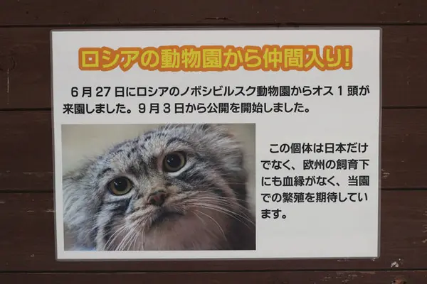 埼玉県こども動物自然公園のレフの写真