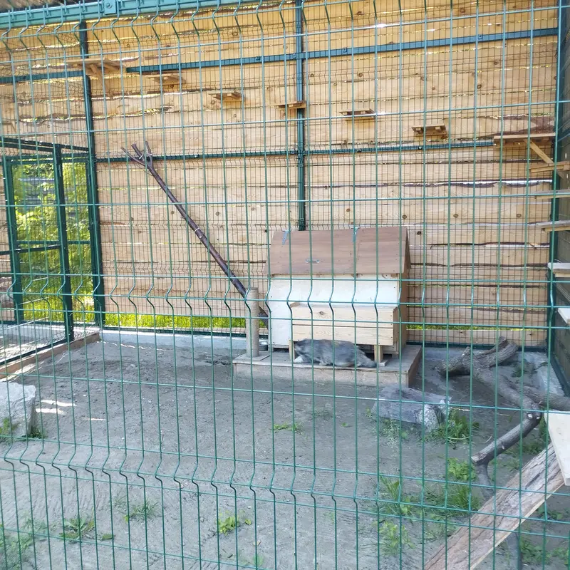 バルナウル動物園「レースナヤ・スカースカ」のチップの写真