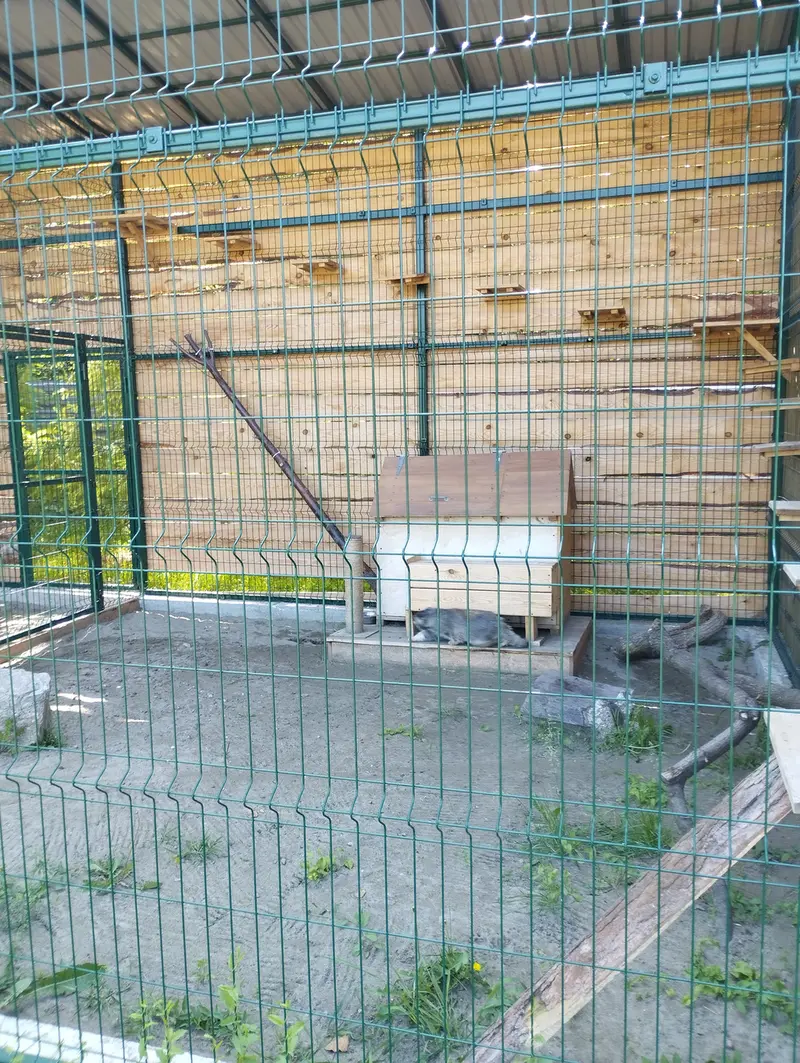 バルナウル動物園「レースナヤ・スカースカ」のチップの写真