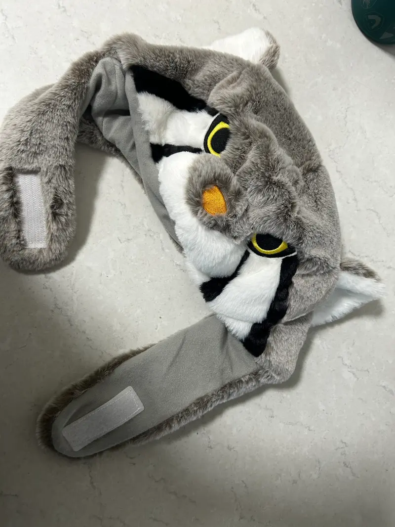 マヌルネコの写真