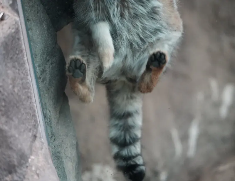 埼玉県こども動物自然公園のオトの写真