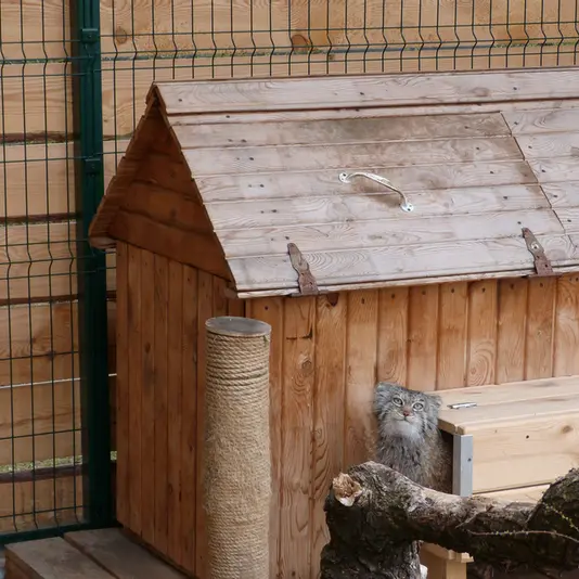 バルナウル動物園「レースナヤ・スカースカ」のペペの写真