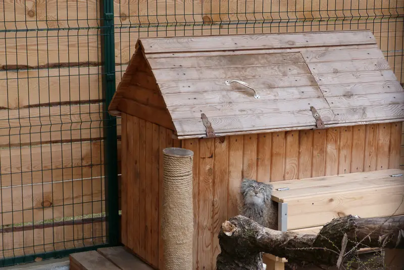 バルナウル動物園「レースナヤ・スカースカ」のペペの写真