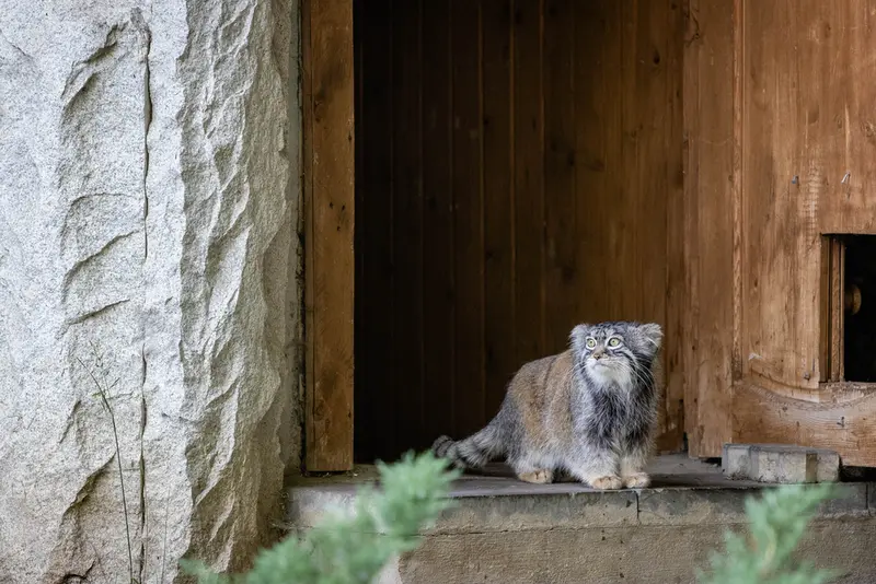 モスクワ動物園のティモフェイの写真
