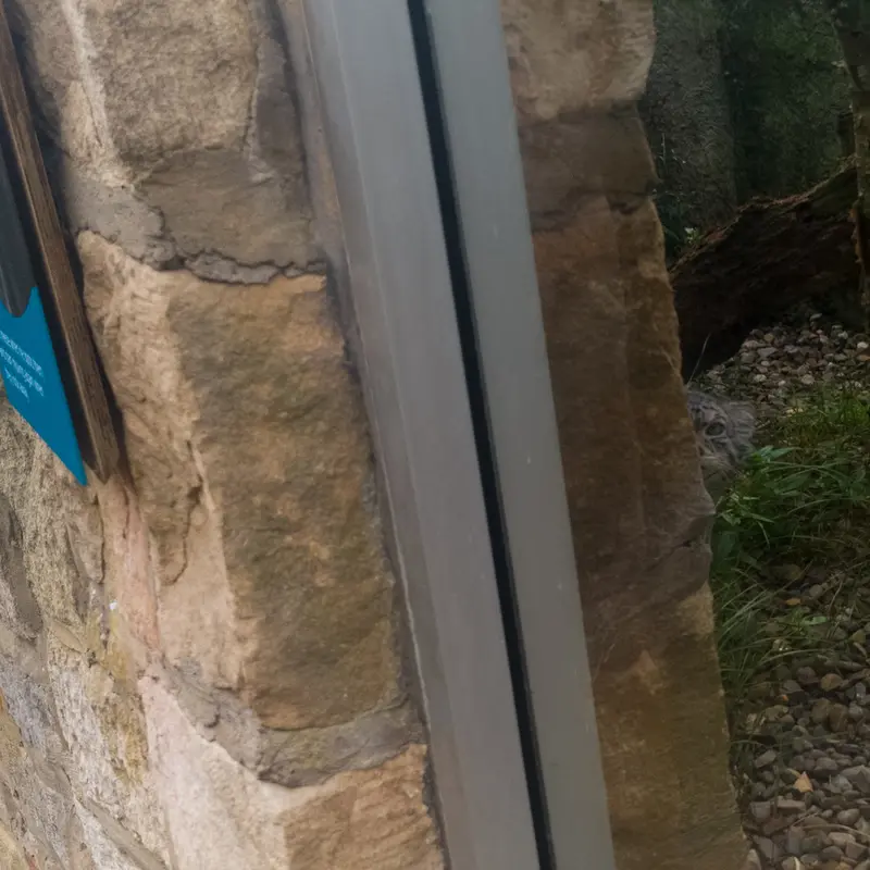 エディンバラ動物園のアキコの写真