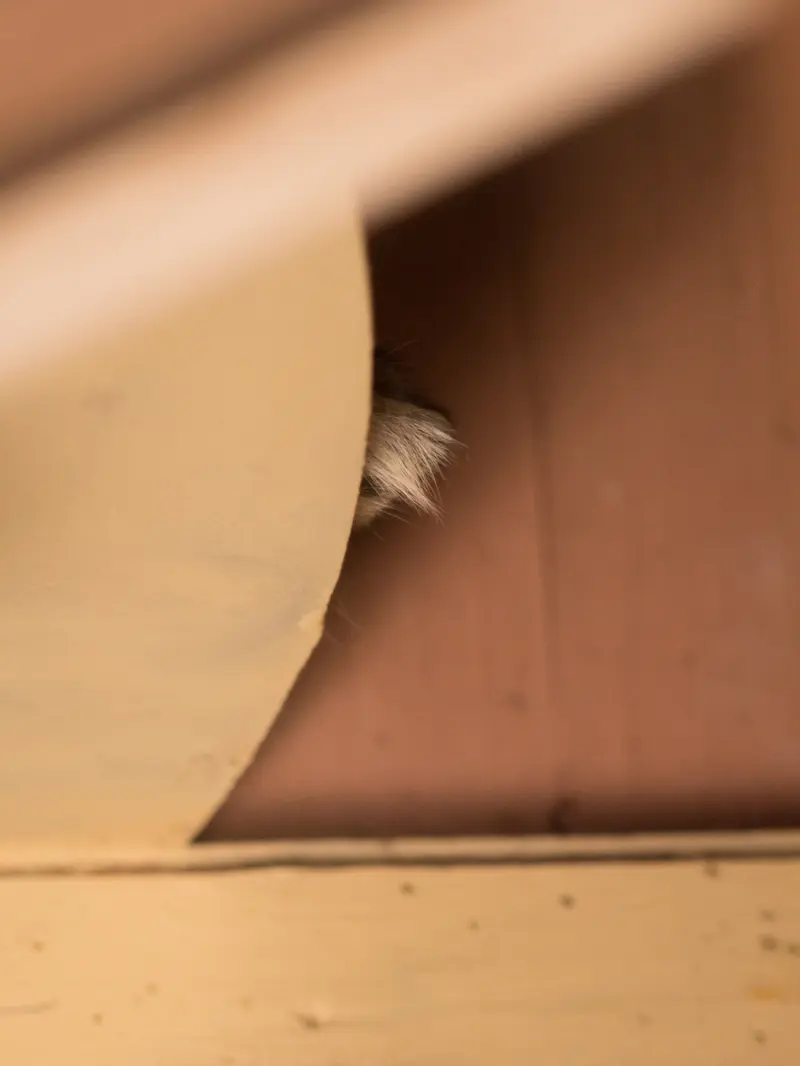 埼玉県こども動物自然公園のオトの写真