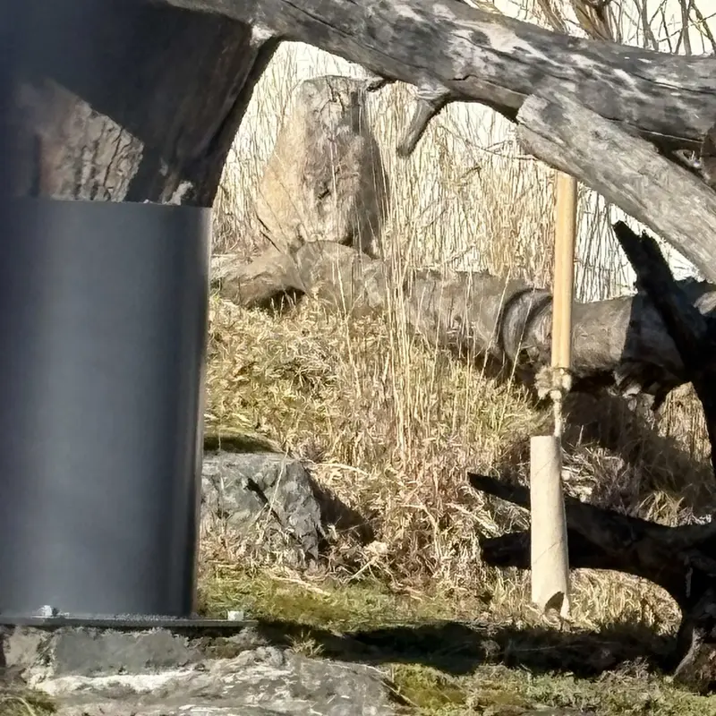 コルケアサーリ動物園のミミの写真