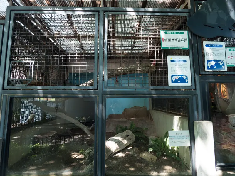 神戸市立王子動物園のイーリスの写真