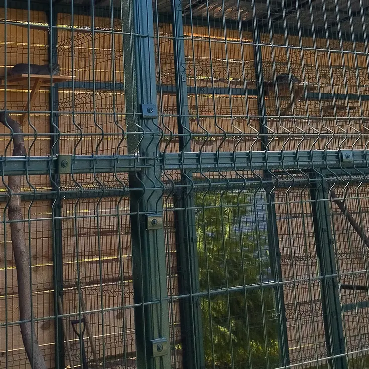 バルナウル動物園「レースナヤ・スカースカ」のペペとチップの写真
