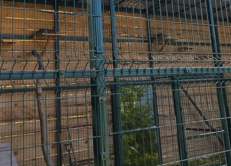 バルナウル動物園「レースナヤ・スカースカ」のペペとチップの写真