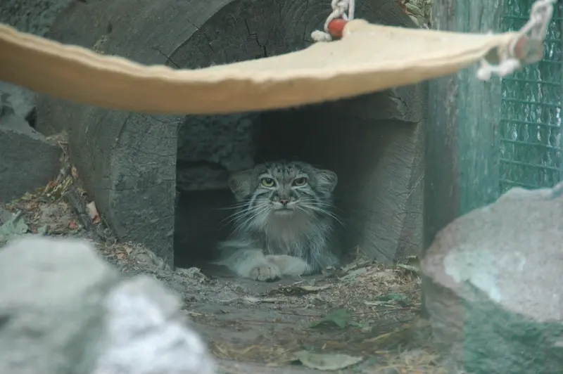 ブダペスト動物園＆植物園のルーシーの写真