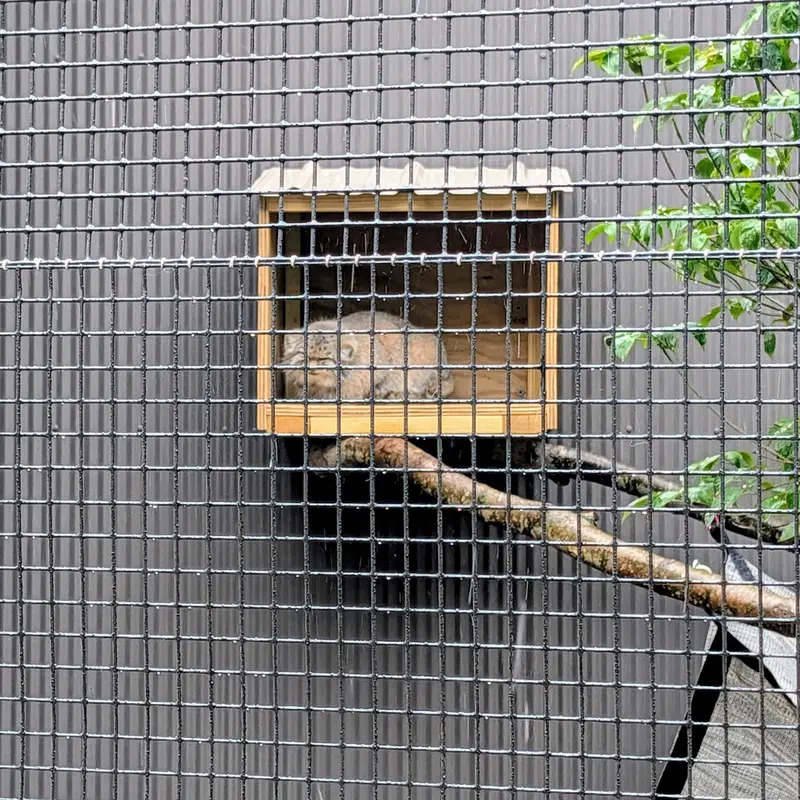 エルムウッド・パーク動物園のレザの写真