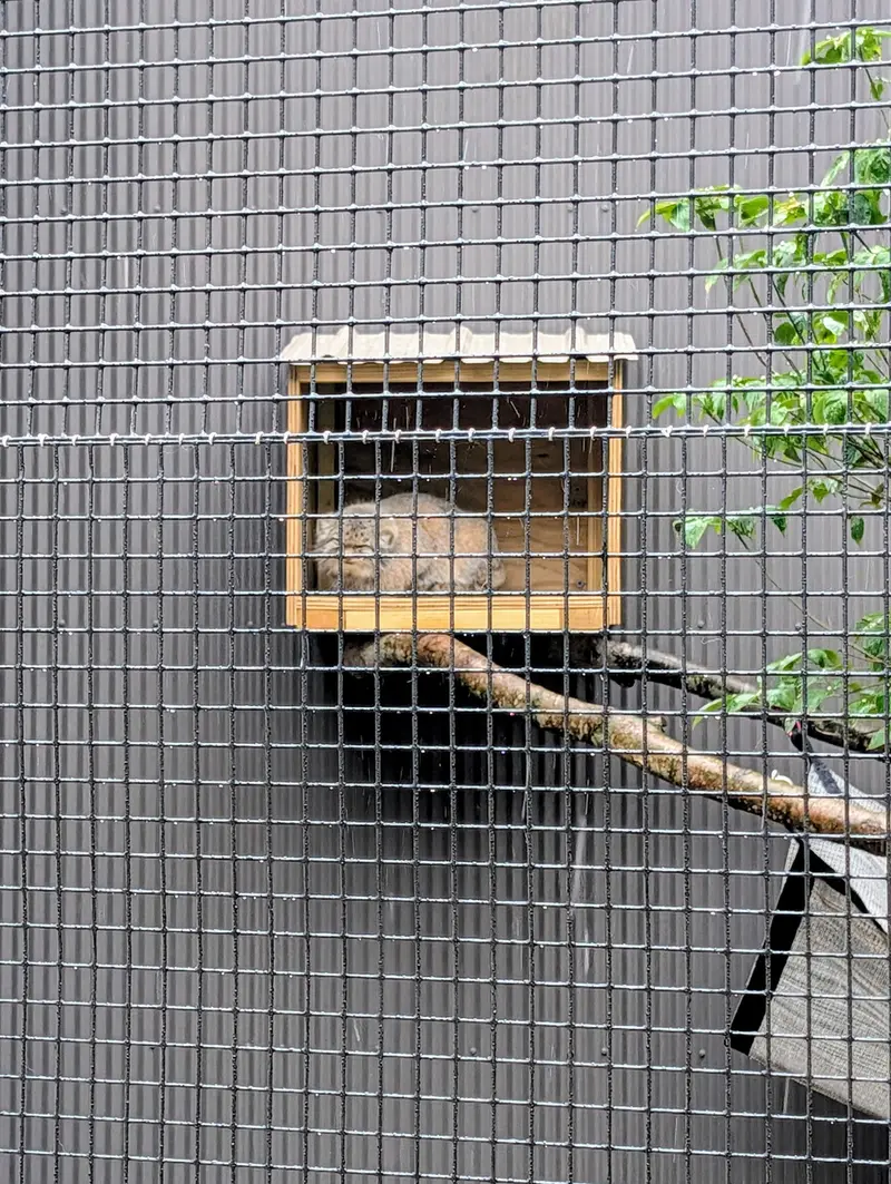 エルムウッド・パーク動物園のレザの写真