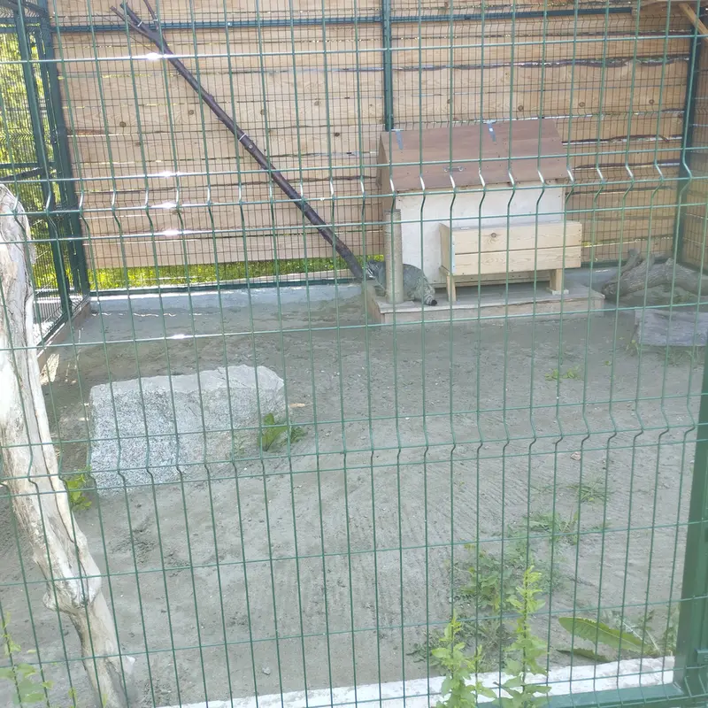 バルナウル動物園「レースナヤ・スカースカ」のチップの写真