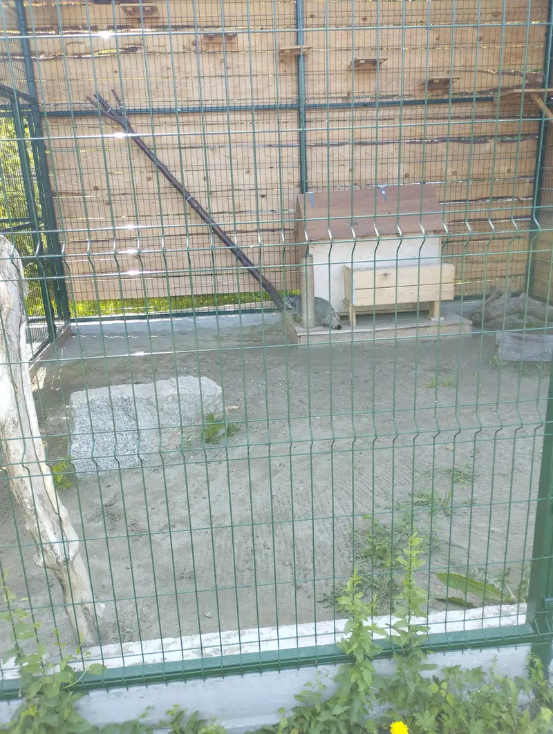 バルナウル動物園「レースナヤ・スカースカ」のチップの写真
