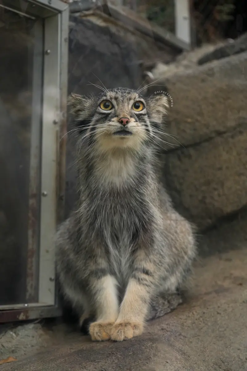 オトの写真