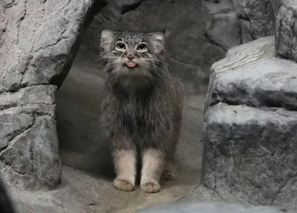 イザベルの写真
