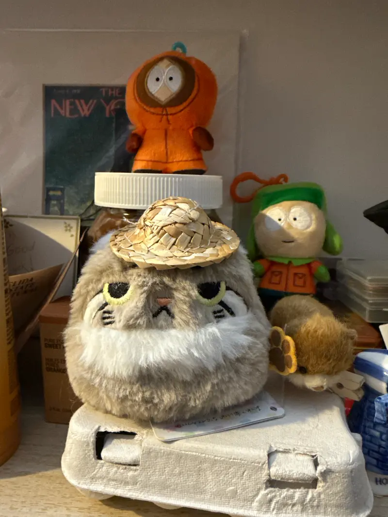 マヌルネコの写真