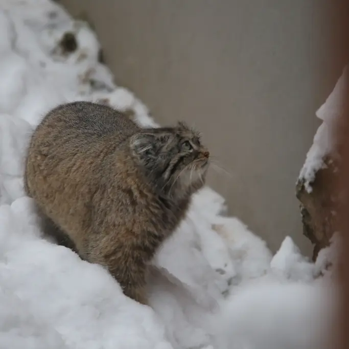 グダニスク動物園のウラの写真