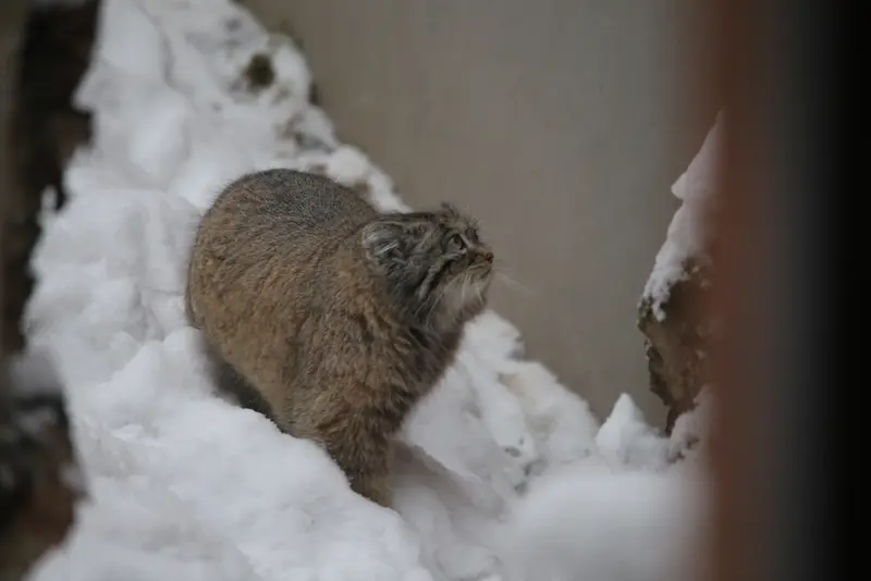 グダニスク動物園のウラの写真