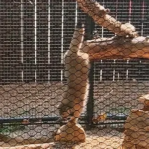グレート・プレーンズ動物園のカズの写真