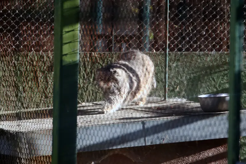 ウッチ動物園のパッツォの写真